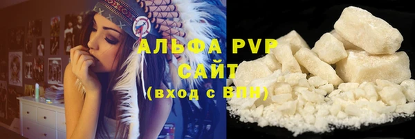 амф Вяземский