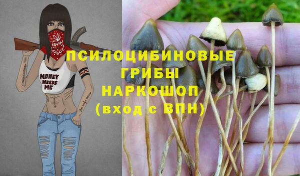 молекула духа Володарск